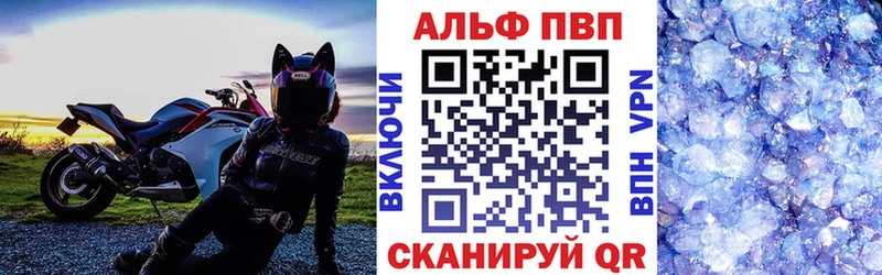 A PVP СК  Камышин 