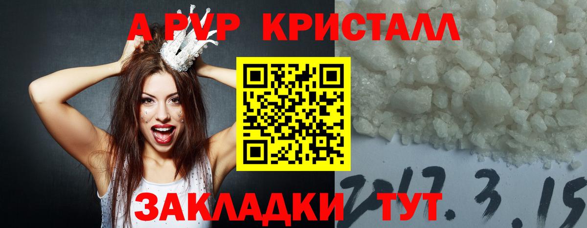 Камышин  Alfa_PVP  Вход с VPN  Alfa_PVP СК КРИС  Alpha-PVP СК 