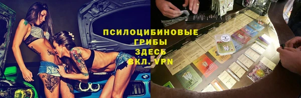 бошки Медвежьегорск