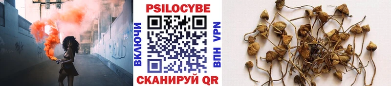 Псилоцибиновые грибы прущие грибы  Камышин 