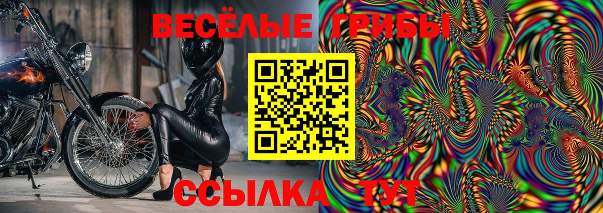 Псилоцибиновые грибы Psilocybine cubensis  Галлюциногенные грибы Magic Shrooms  Камышин 