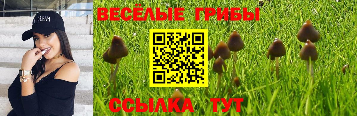 Псилоцибиновые грибы мухоморы Камышин