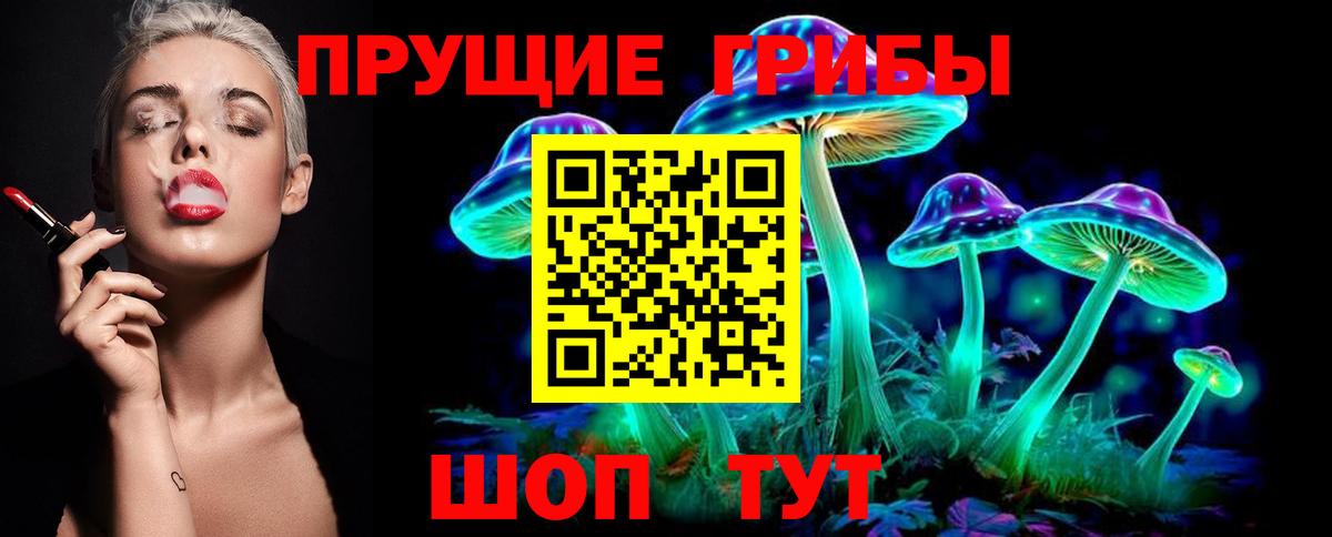Псилоцибиновые грибы Magic Shrooms  Вход с VPN  хочу наркоту  Камышин 