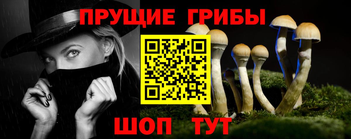 Псилоцибиновые грибы GOLDEN TEACHER Камышин